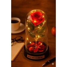 Biton Toptan Sevgiliye Seni Seviyorum Temalı LED Işıklı Mika Fanus Kırmızı Yapma Solmayan Gül  Büyük Boy 22 cm