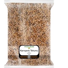 Zencefil Organik Karnıyarık Tohumu 500 Gr.
