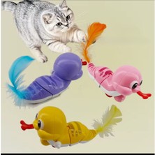 River World Salyangoz Oyuncak Kurmalı Kedi Evcil Hayvanlar Için