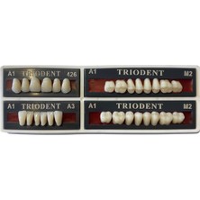 Ditok Dental Trıodent 28 Lik Takım Diş ( A1 - M2 ) 426