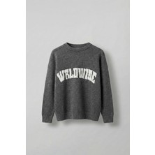 Abluka Online Erkek Relaxed Fit Premium Triko Kazak Füme