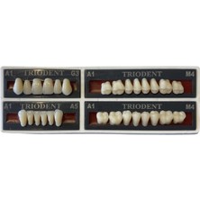 Ditok Dental Trıodent 28 Lik Takım Diş ( A1 - M4 ) G3
