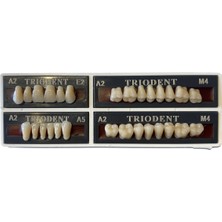 Ditok Dental Trıodent 28 Lik Takım Diş ( A2 - M4 ) E2