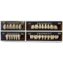Ditok Dental Trıodent 28 Lik Takım Diş ( A2 - M4 ) G3