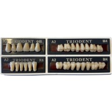 Ditok Dental Trıodent 28’lik Takım Diş (A2 – M4) 448