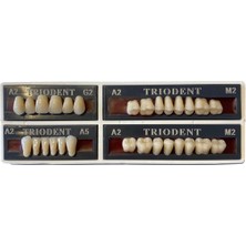 Ditok Dental Trıodent 28 Lik Takım Diş ( A2 - M2 ) G2