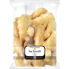 Yelken Baharat Taze Zencefil 1 Kg. Yaş Zencefil