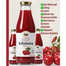 Nurs Lokman Hekim Gilaburu Suyu