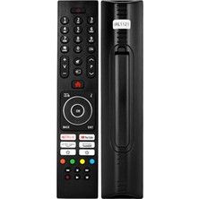 Vestel ,seg,regal,techwood,telefuken,jvc Tv Kumandası Açıklama