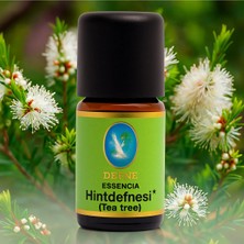 Nuka Defne Esencia Hint Defnesi* - Organik (Tea Tree) %100 Saf Uçucu Yağ