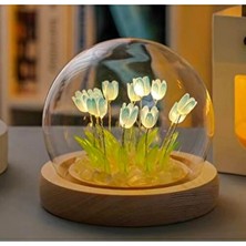 Cavaş Sun Hat Fanus Içinde Lale Bahçesi Tasarımlı Ledli Masa ve Gece Lambası