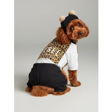 Kemique Leo Paw Köpek Tulumu & Bere Takımı | Penye Kumaş | Küçük Irk Köpekler Için | Tüy Dökülmesini Azaltır