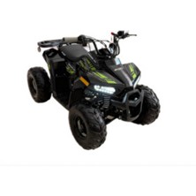 Skyjet Braves 110 cc Off - Road Atv Motor