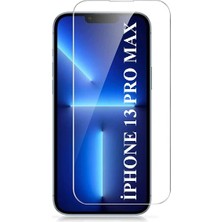 Elixem İphone 13 Pro Max Uyumlu 9H Düz Şeffaf Ekran Koruyucu Temperli Cam