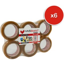 Hasbant Has Bant Freezer 45MMX100M Koli Bandı - 6 Adet