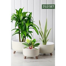 Nandy Home 3'lü Saksı Seti Modern Yuvarlak Şekil Beyaz Plastik Hafif ve Dayanıklı