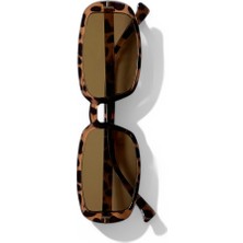 Karry Oval  Yeni Sezon Kadın Güneş Gözlüğü / Ren Eyewear