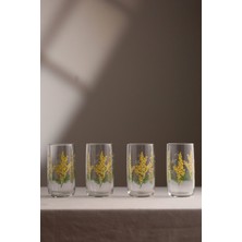 Rakle Mimosa 4'lü Meşrubat Bardağı Seti 365 cc