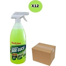 Borline Bor Lıne % 100 Yerli Üretim Borgücü Genel Temizlik 1000ML 12 Adet