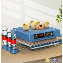 Tuncel Store EPO-W64 Tam Otomatik Kuluçka Makinesi 64 Yumurta Kapasiteli Civciv Kaz Ördek Uyumlu + Yedek Motor