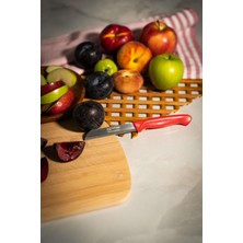 Royal Gross Solingen Simli Deliksiz Meyve Bıçağı – Kırmızı Saplı, 18,5 Cm, Paslanmaz Alman Çeliği (4lü)