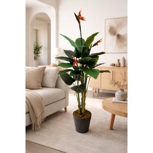 Maki Dekor Yapay Çiçekli Starliçe 150 cm 3 Gövde Dekoratif Ev, Ofis Ağacı