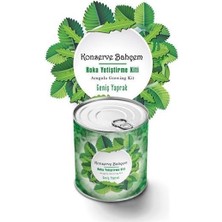 Zaya Home Buffer® Konserve Bahçem Evde Konservede Iri Yapraklı Roka Yetiştirme Kiti