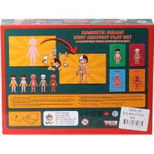 Sinerjim LC986 Manyetik Aktivite İnsan Anatomisi -Laço