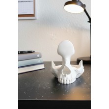 To Design Lab Kafatası Şeklinde Gözlük Standı - Düzenleyici