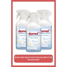 Domol Oda Spreyi Cool Freshness 250 ml 3'lü Avantaj Paket