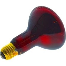 Şavk 100W Kırmızı Cam Halojen Isı Ampulü R95 E-27 Duy Tipi Sarı Işık Rengi