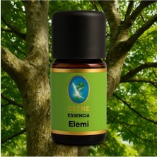Nuka Defne Esencia Elemi Geleneksel %100 Saf Uçucu Yağ