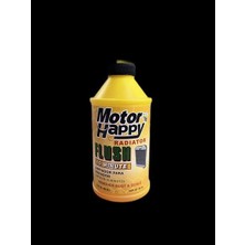 Jolly Rpt - Radyatör Pas Temizleyici 300ML Kolisi 24 Adet