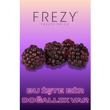 Frezy Freeze Dried Freeze Dry Böğürtlen | Endüstriyel Paket (500 Gr.) | %100 Doğal | Sağlıklı Atıştırmalık