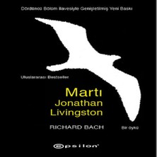 Bilfold Martı Jonathan Livingston