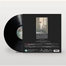  nilüfer - sensiz olmaz - pop rock vinly plak alithestereo