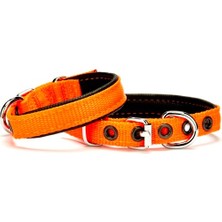 SHC4200 Softlu Köpek Boyun Tasması 1,5 cm x 30 cm Turuncu