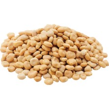 SHC4200 Acı Bakla Tohumu Yahudi Baklası Doğal 50 gr Paket