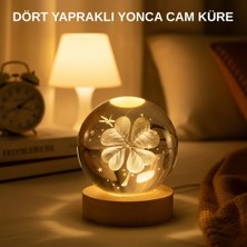 Moresun Buğz USB Bağlantılı Yonca Bitkili Cam Küre Ahşap Altlıklı Dekoratif Lamba