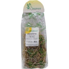 SHC4200 Çoban Çökerten Otu Doğal 50 gr Paket