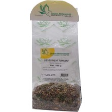 SHC4200 Devedikeni Tohumu Doğal Tane 100 gr Paket