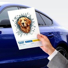 Ttt Nevamel Fulcar Golden Araç Stickerı