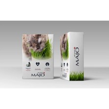 SHC4200 Üç Kullanımlık Naturel Kedi Çimi Yedek Tohumlu