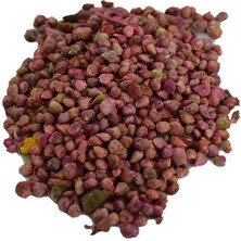 SHC4200 Ispanak Tohumu (Zirai Ekim Için Ilaçlıdır) 100 gr Paket