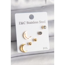 316L Çelik Gold Renk Zirkon Taşlı Hilal Model Kadın Küpe Seti EB-53-VICE/(1395) 4027