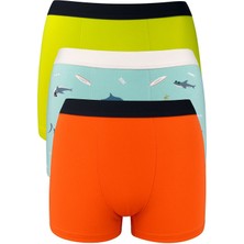Sensu Erkek Çocuk Köpek Balığı Baskılı 3'lü Boxer KIDSBXR1000