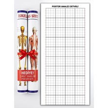 And Postür Analiz Gridi Tablosu - Posture Analysis Grid + Yükseklik Bağımsız Tasarım