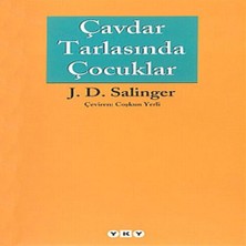 Judge Çavdar Tarlasında Çocuklar