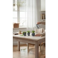 Bonjorno Aksesuar Kuru Kafa 3'lü Biblo Seti , Kalemlik Aksesuar Seti