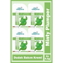 Asfstore Cire Aseptine Mentol Dudak Bakım Kremi 4,5 gr 4 Adet